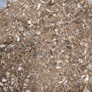 桂枝专营中药材下脚料