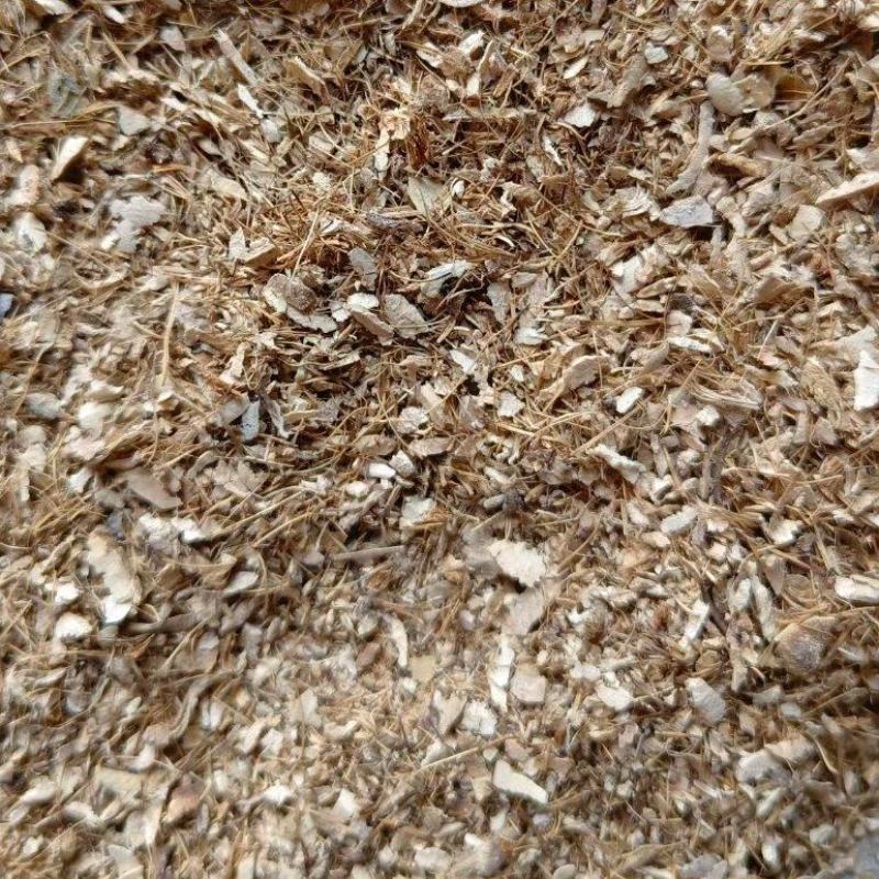 三棱专营中药材下脚料