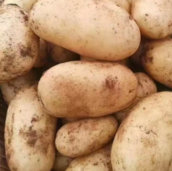 土豆营养成分图解