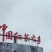 英德精品英红九号红茶基地直发品质保证量大从优