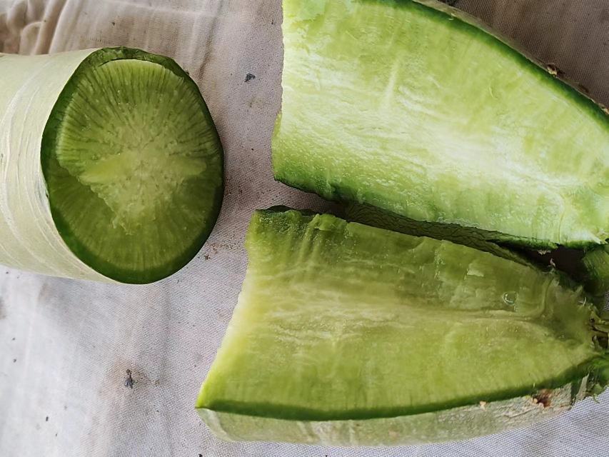 水果萝卜不同品种对比图