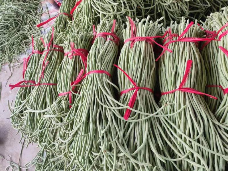 精品长豆角河南长豆角南乐长豆角长期供货欢迎采购