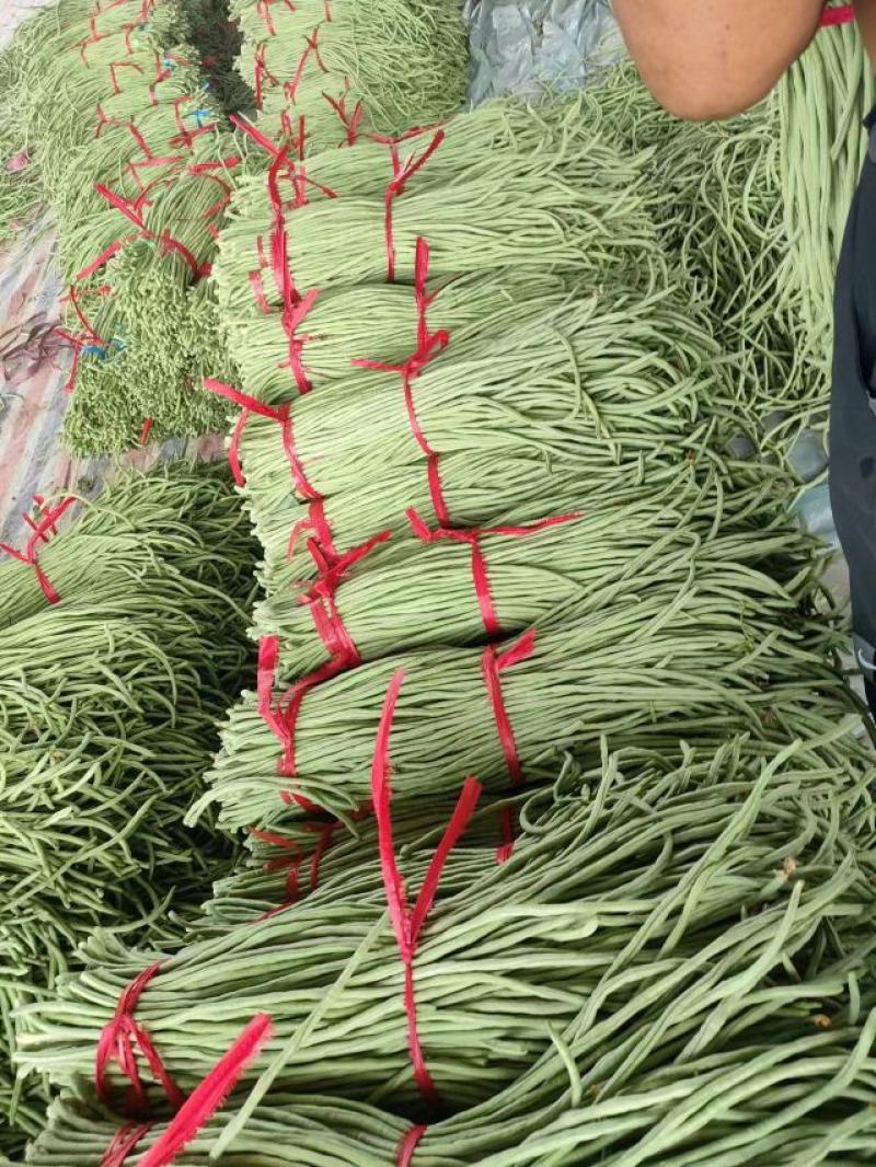 精品长豆角河南长豆角南乐长豆角长期供货欢迎采购