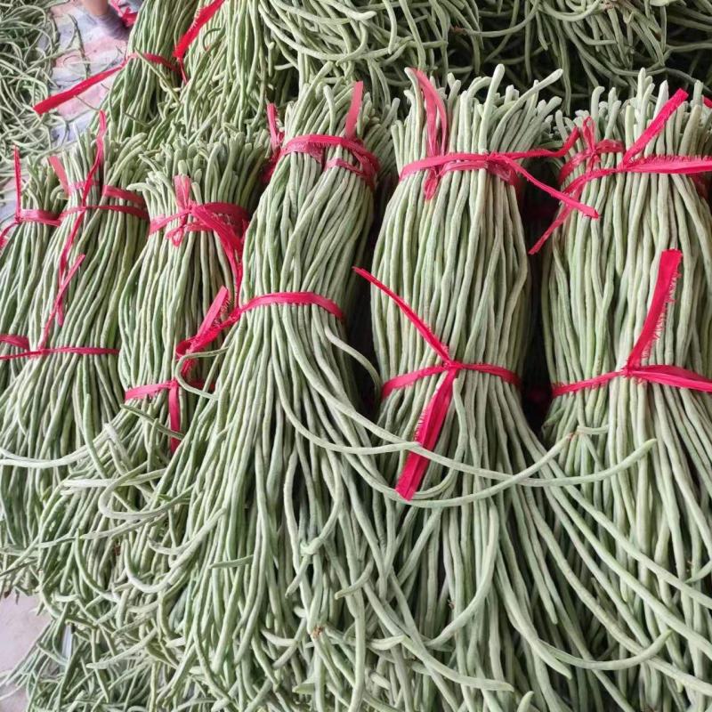 精品长豆角河南长豆角南乐长豆角长期供货欢迎采购