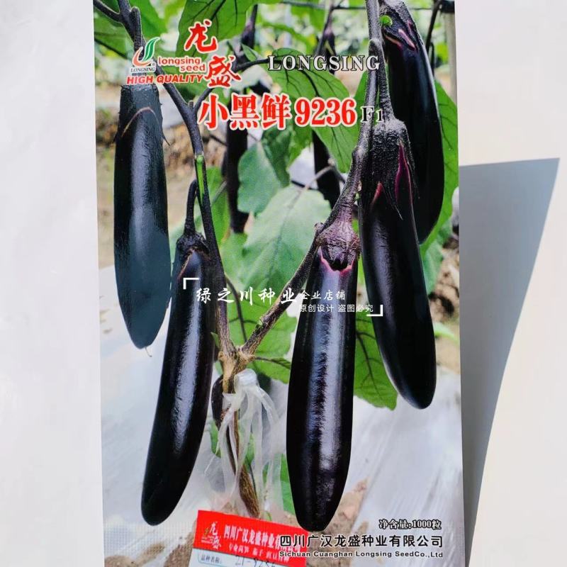 北方地区小黑茄种子龙盛小黑鲜9236小棒茄种早熟茄子种子