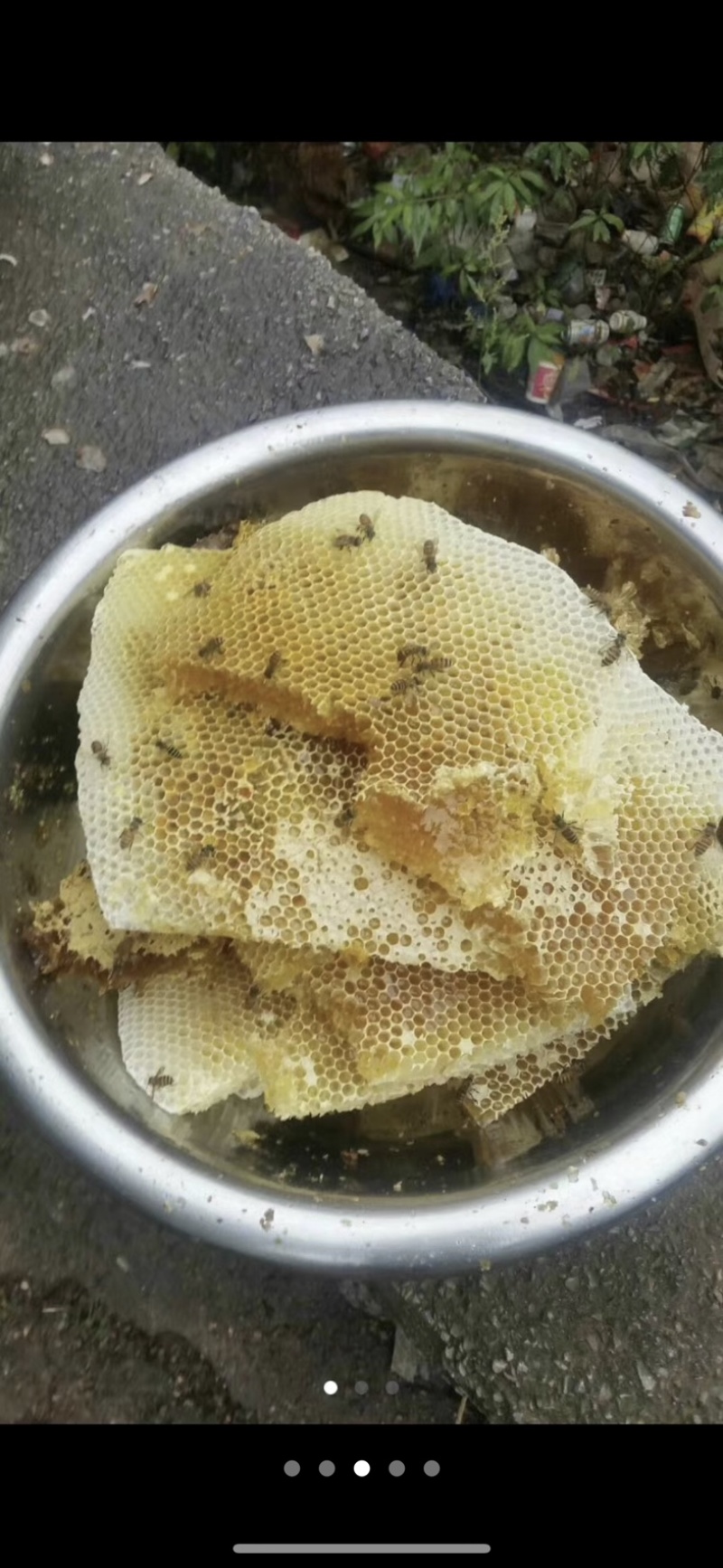 纯正土蜂蜜