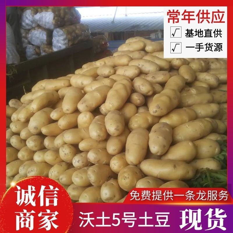 沃土5号基地现货供应规格齐全品种齐全常年供应