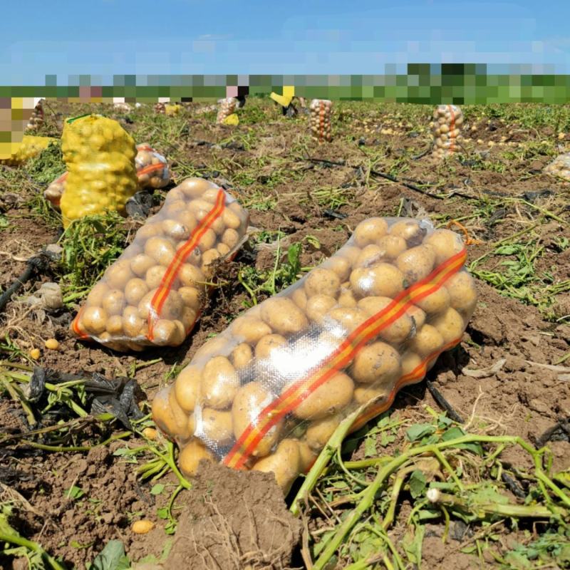 沃土5号基地现货供应规格齐全品种齐全常年供应
