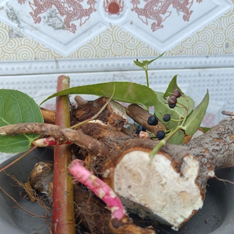 贵州野生中药材透骨香满山香九木香芳货真价实袋装包邮诚信