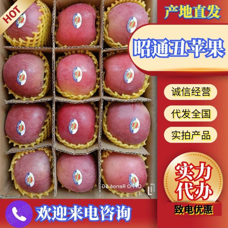 云南昭通冰糖心苹果产地直发价格美丽欢迎来电咨询