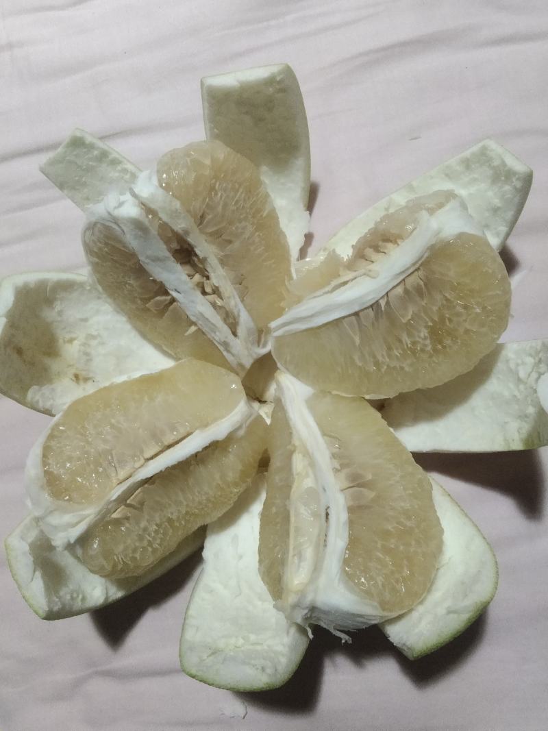 松林脆香甜柚子现已经大量上市了，口感纯甜，而且脆