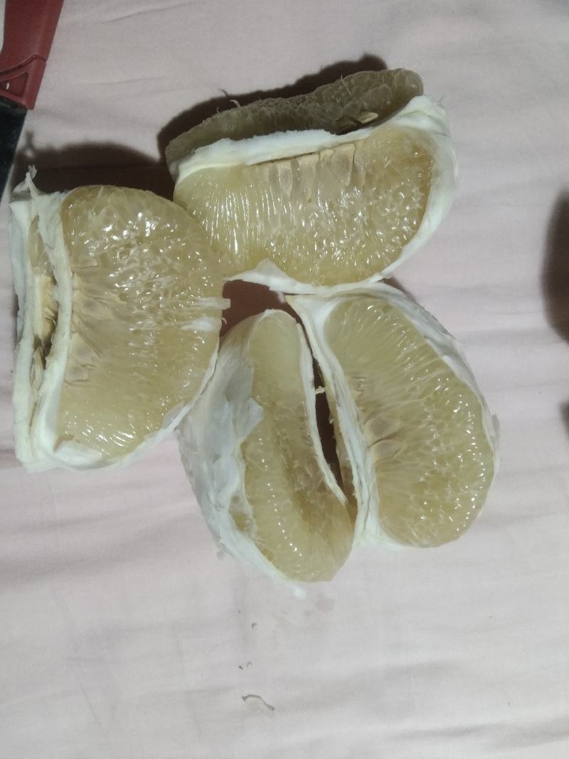 松林脆香甜柚子现已经大量上市了，口感纯甜，而且脆