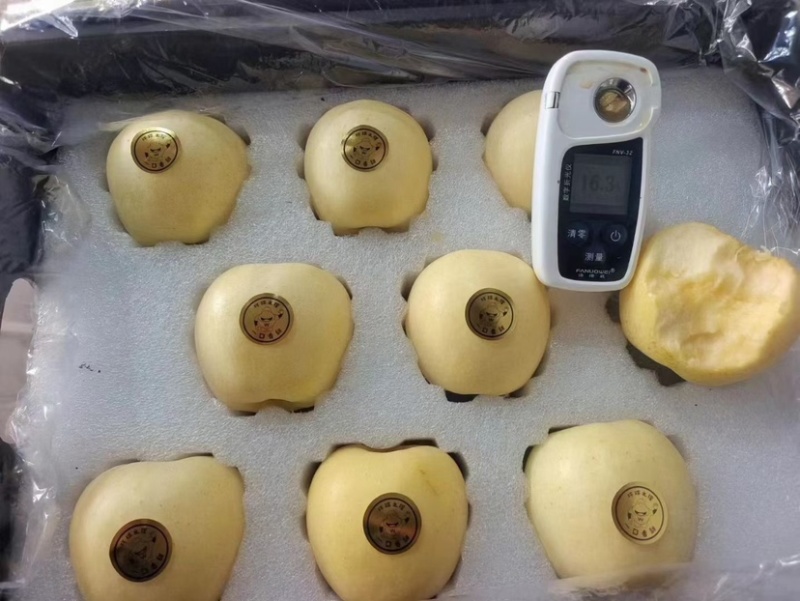 维纳斯苹果