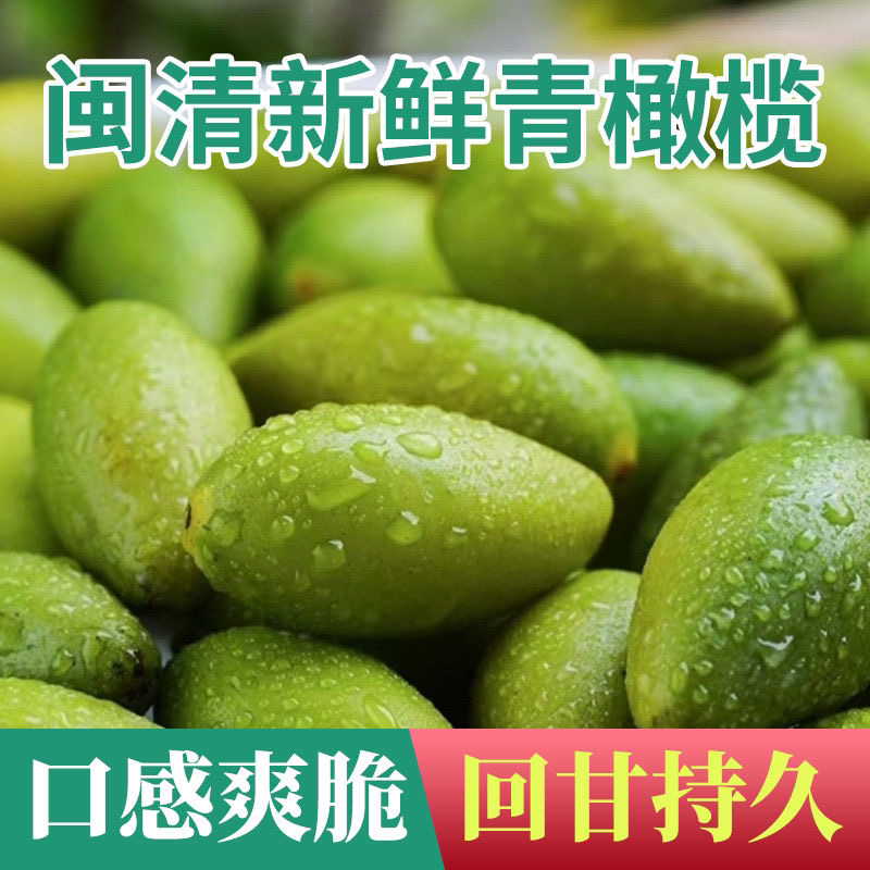 福建白河江精品二号橄榄大量有货量大从优对接电商超市