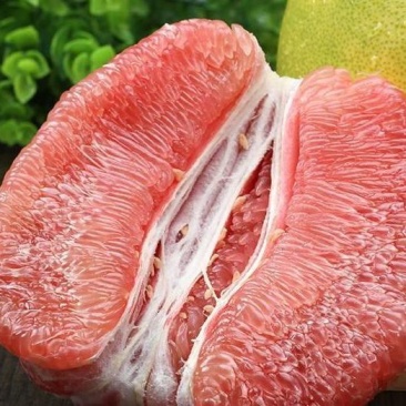 优质蜜柚红心柚琯洗蜜柚果肉饱满颜色好口感甜大量上市