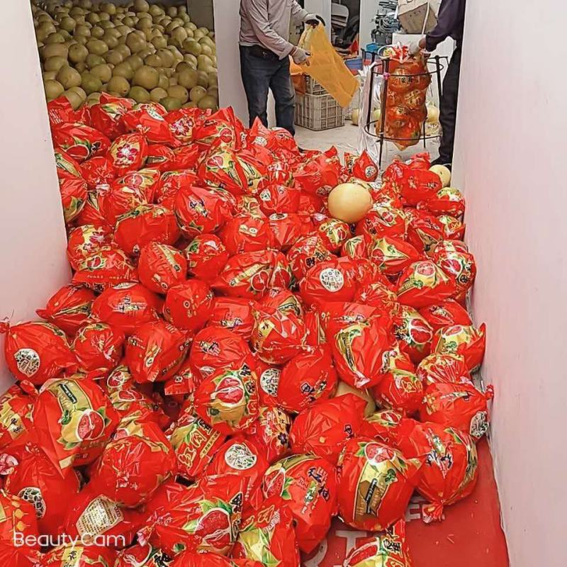 优质蜜柚红心柚琯洗蜜柚果肉饱满颜色好口感甜大量上市