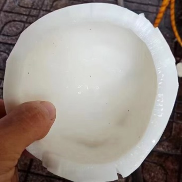 老椰肉椰子椰水椰皇肉一手货源欢迎进店选购电话联系价格到尾