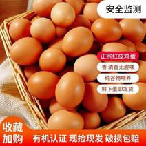 【精】鲜鸡蛋，红壳鸡蛋大量供应现货现发品质保证！