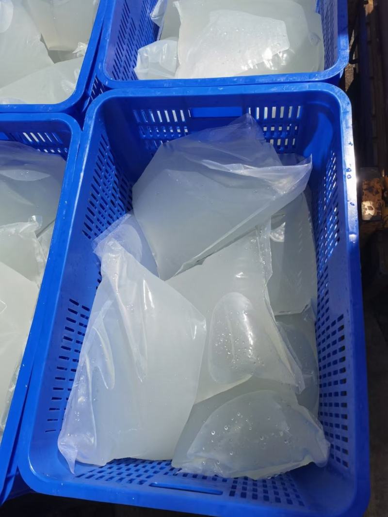 老椰子水椰皇水椰青水货源充足火爆餐饮欢迎进店选购电话联系
