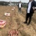 【优选】红薯产地直供保质保量欢迎全国老板