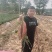 【优选】红薯产地直供保质保量欢迎全国老板