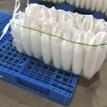 白罗卜大量供应