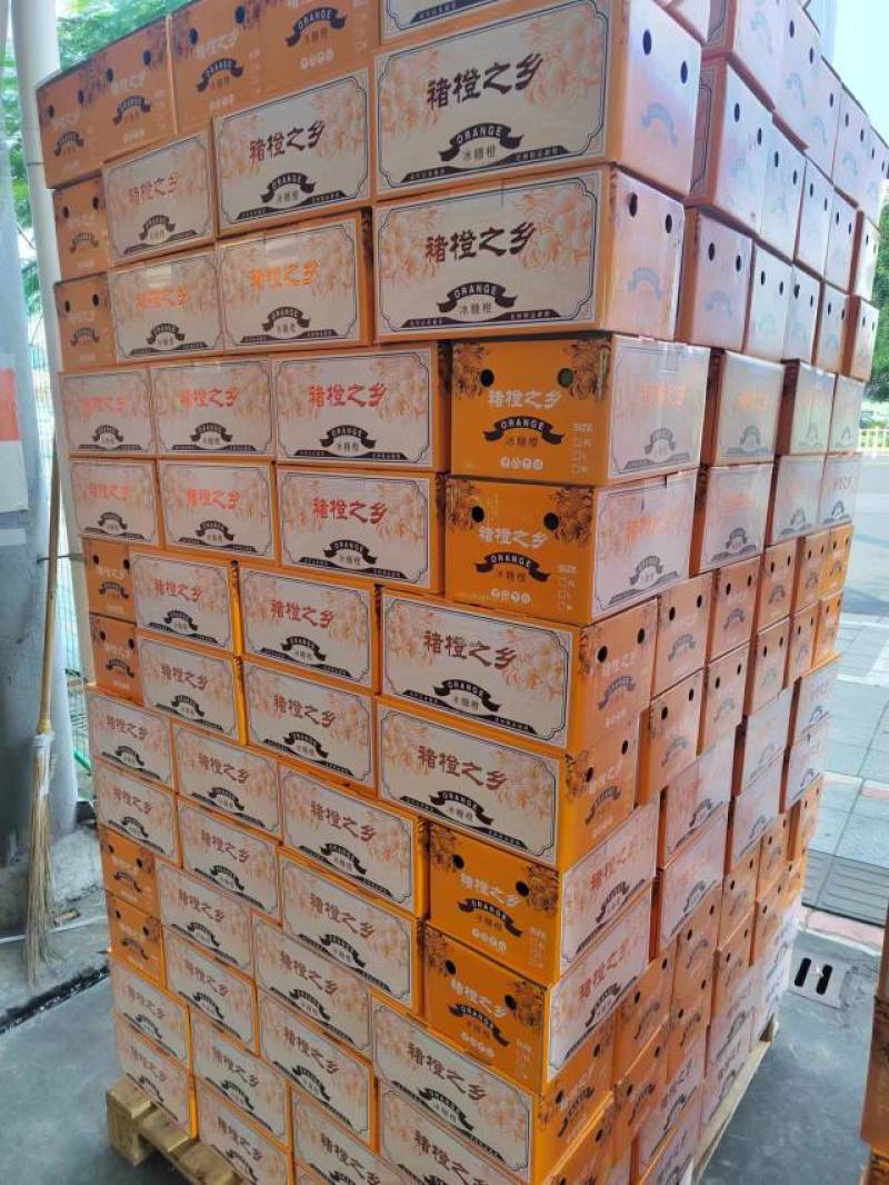 冰糖橙