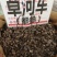 中药材草河车拳参新货抛光保证质量货源充足