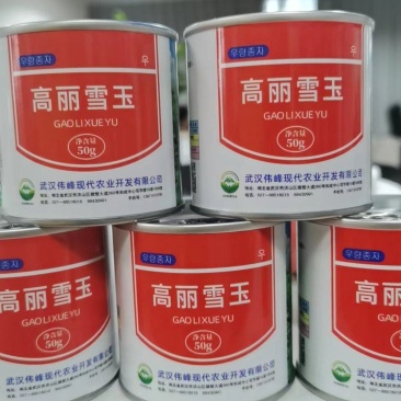 高丽雪玉萝卜种子