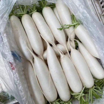 有机花