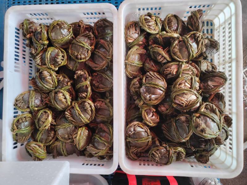 大闸蟹精品礼盒装一件代发欢迎来电沟通洽谈