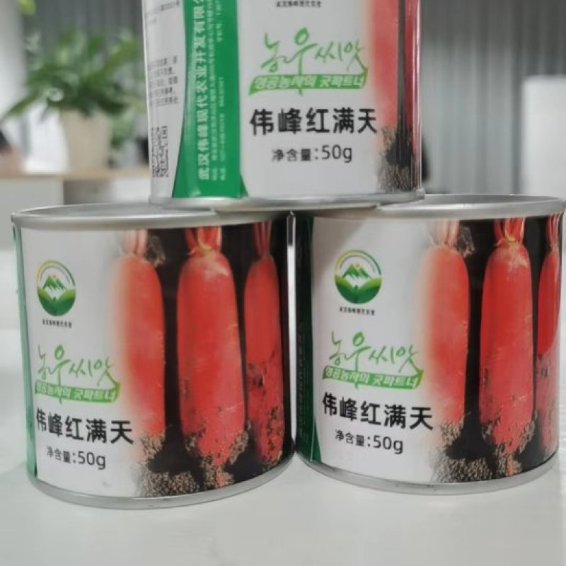 伟峰红满天萝卜种子