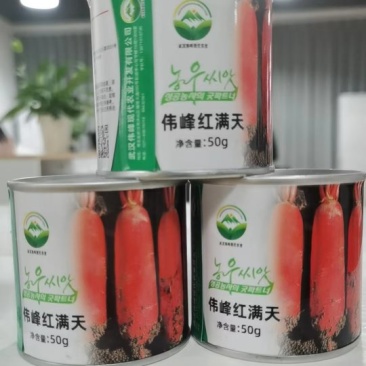 伟峰红满天-红萝卜品种