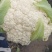 砀山县有机花菜，青梗小米粒，大棚有机花菜，白面，基地批发