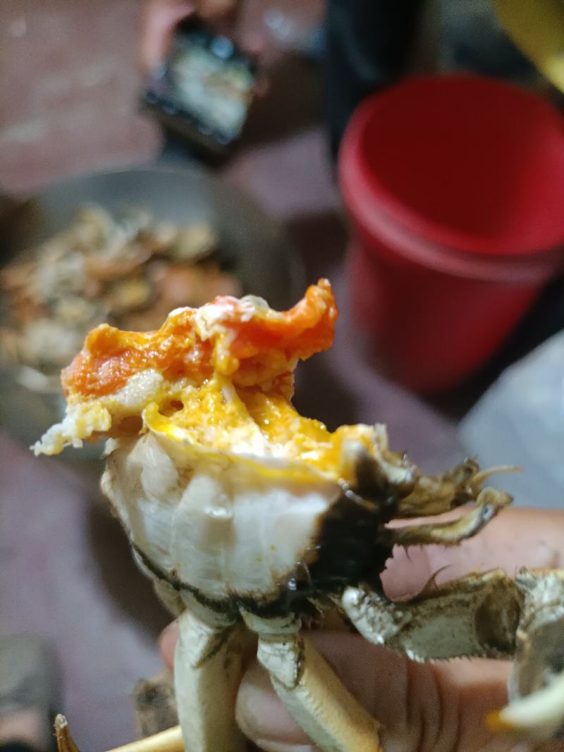螃蟹白菜价了快来围观吧