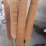 蒲棒，水蜡烛，售蒲黄精粉。蒲捧粉160目。保证质量产地直