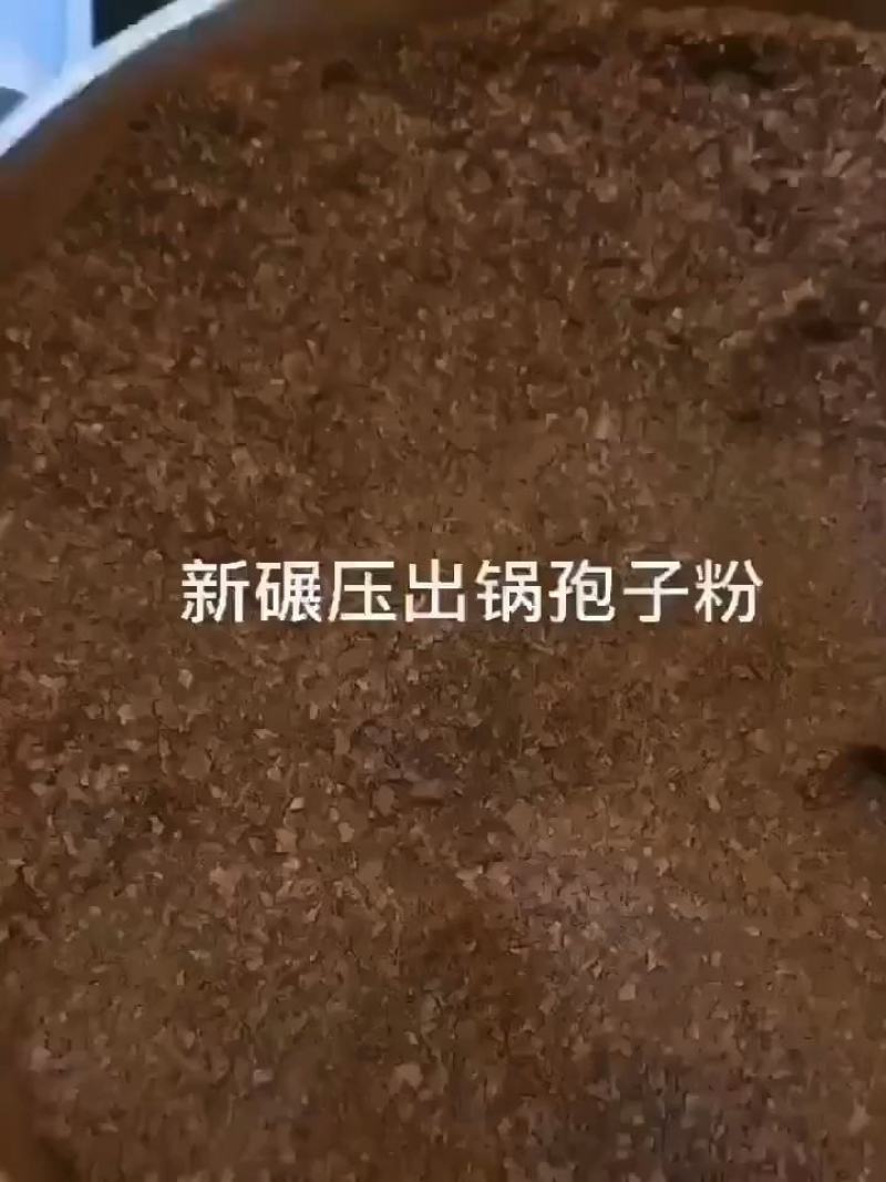 2023新货灵芝孢子粉