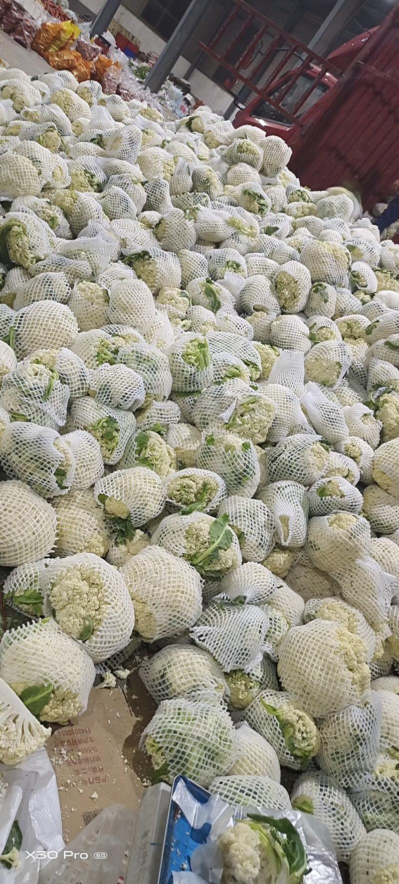 花菜，有机花菜，大量有货，散花，河南商丘李口精品蔬菜产地