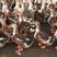 加黄麻鸭，均重5.78斤，3000羽，价格实惠