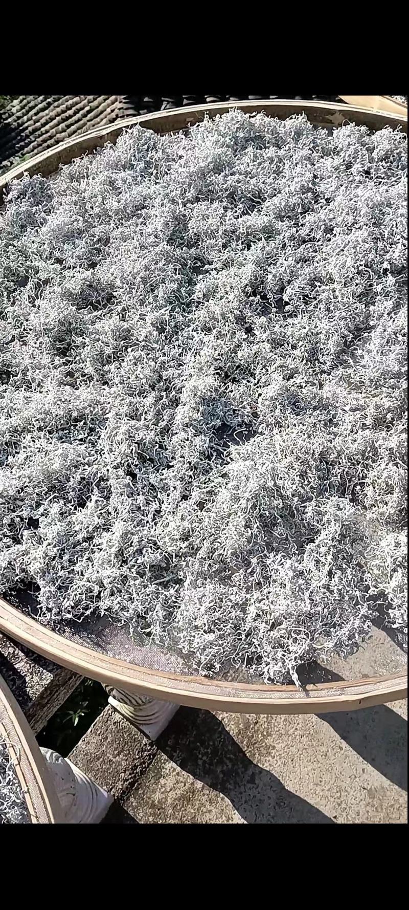 湘西滕茶（莓茶）