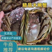 精品大闸蟹一手货源产地直发大量供应，有礼盒装