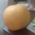 金秋蜜梨