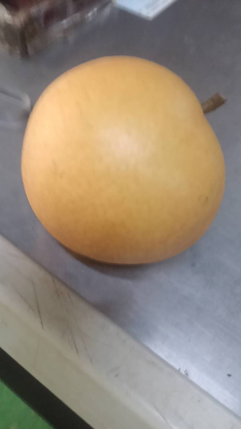 金秋蜜梨