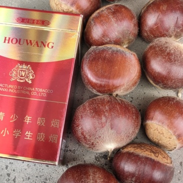 镇安大板栗