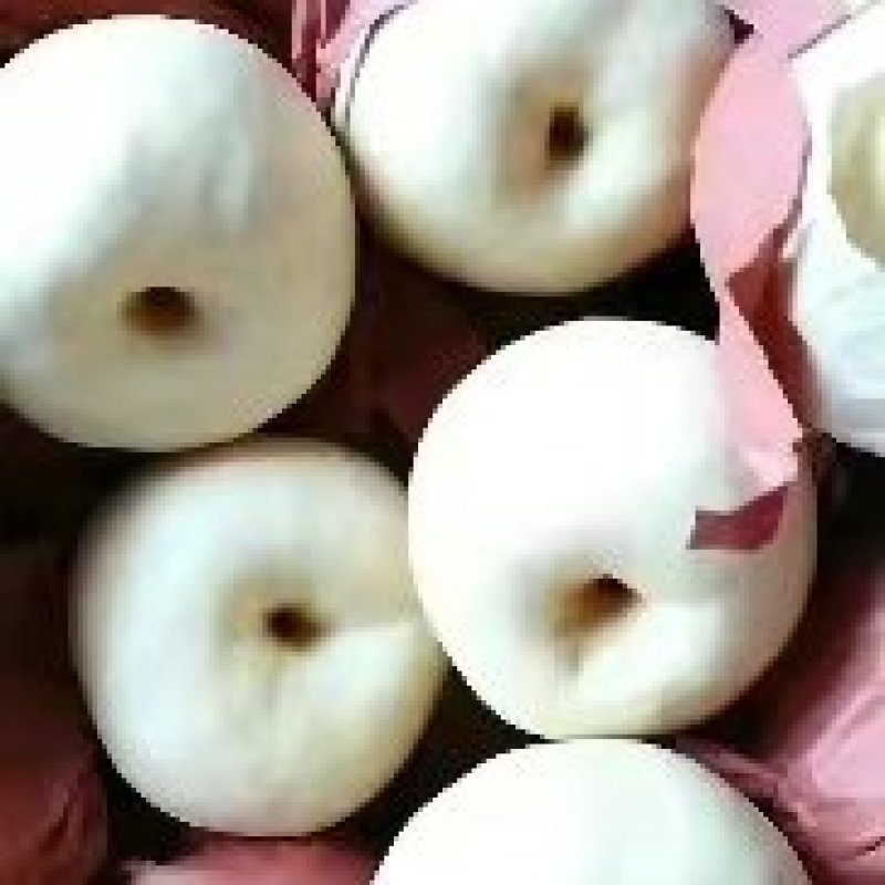 陕西蒲城酥梨大量上市中有需要的老板可以联系
