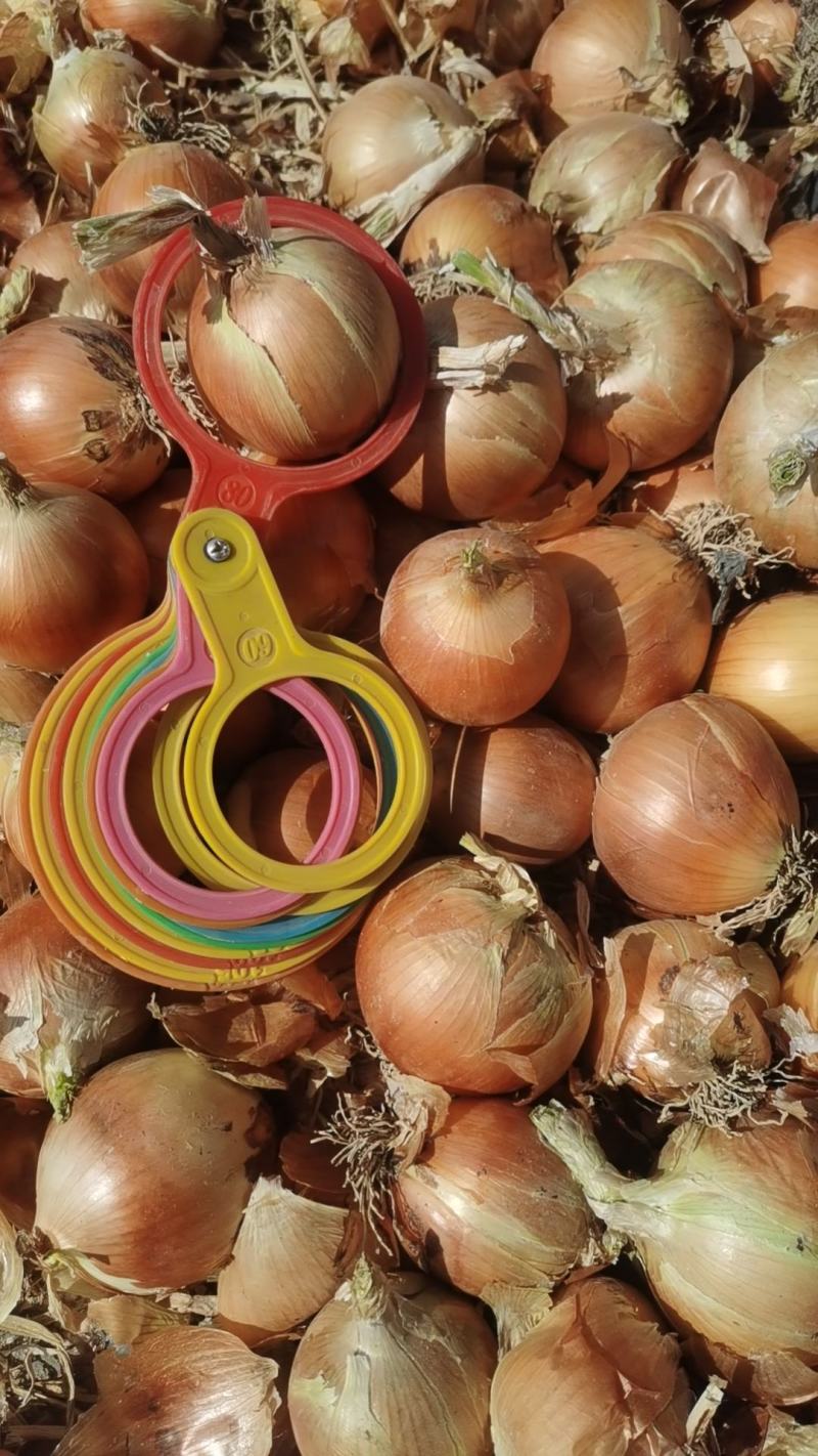 YellowonionMadeinChina