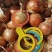 YellowonionMadeinChina