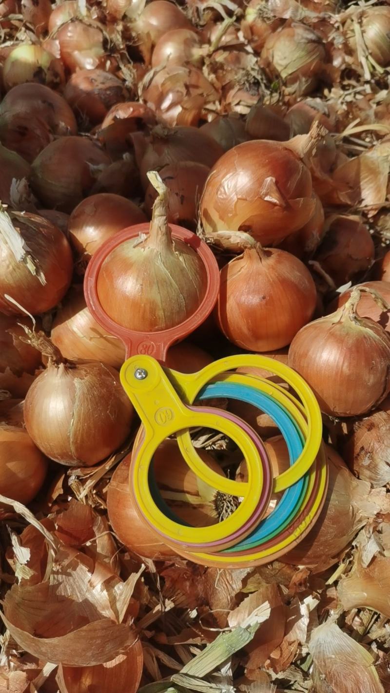 YellowonionMadeinChina