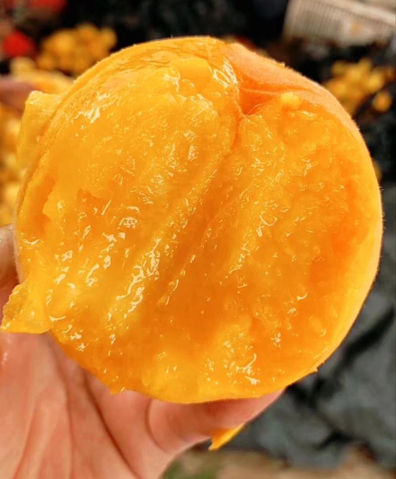 山西运城临猗黄金凤纸毛桃，软糯香甜，味道鲜美，欢迎购买。
