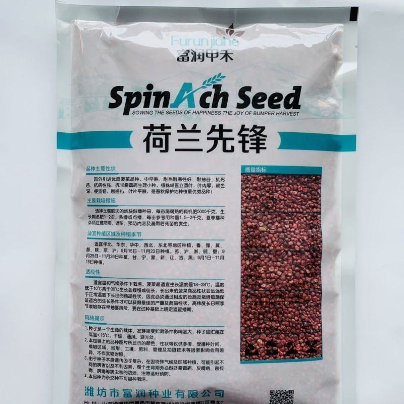 荷兰先锋菠菜种子耐寒抗热耐抽苔抗病春秋越冬中熟品种蔬菜种